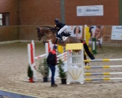 jumper Chicago 219 (German Sport Horse, 2019, from Cornet's Fire Z)