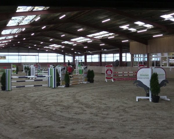 Reitturnier Ostenfelde-Vornholz 2024