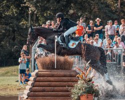 jumper Pacon (German Sport Horse, 2017, from Pacific)