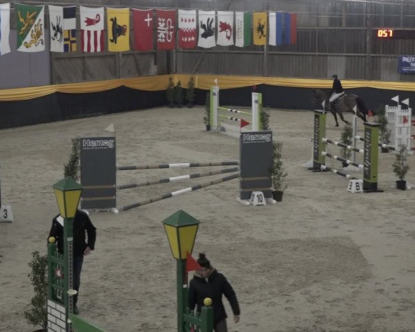 Reitturnier Erlen 2024