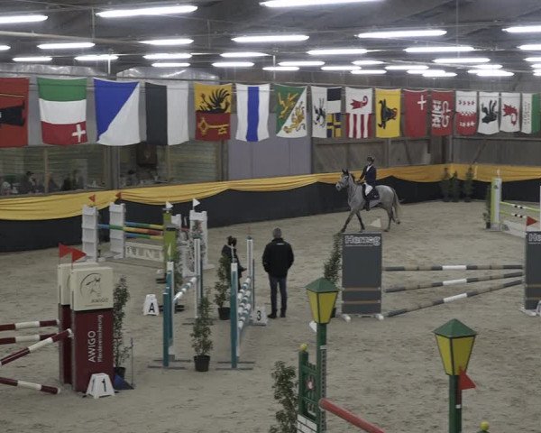 Reitturnier Erlen 2024
