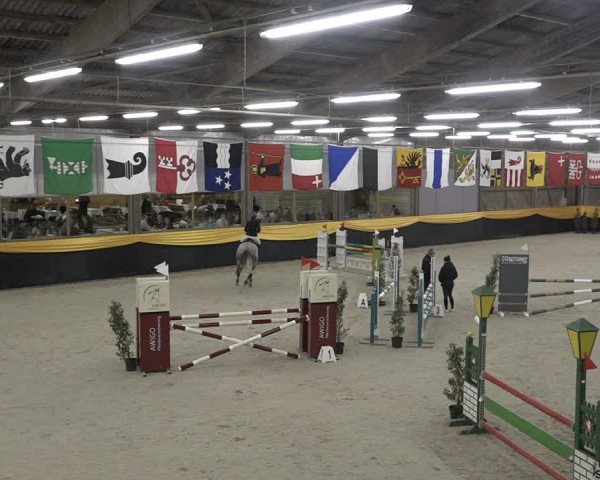 Reitturnier Erlen 2024