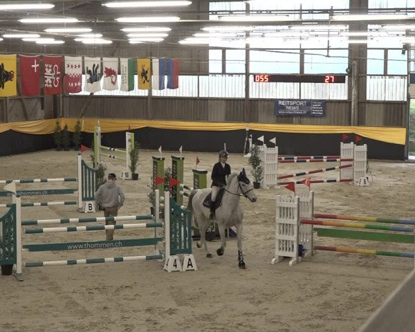 Reitturnier Erlen 2024