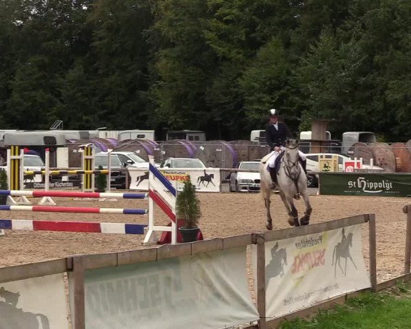 Reitturnier Albersdorf Dithmarsenpark 2021