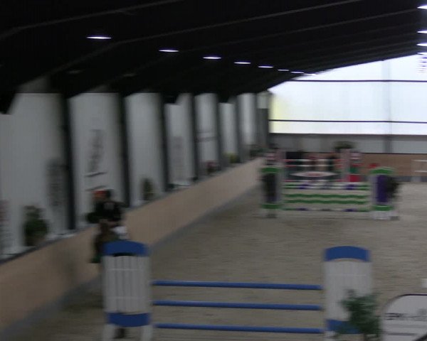 Reitturnier Borken 2024