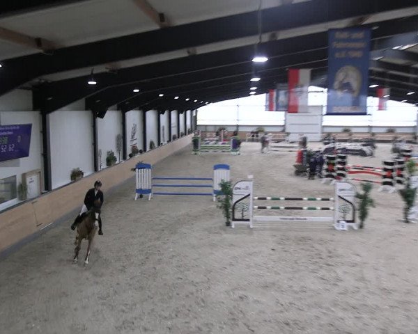 Reitturnier Borken 2024