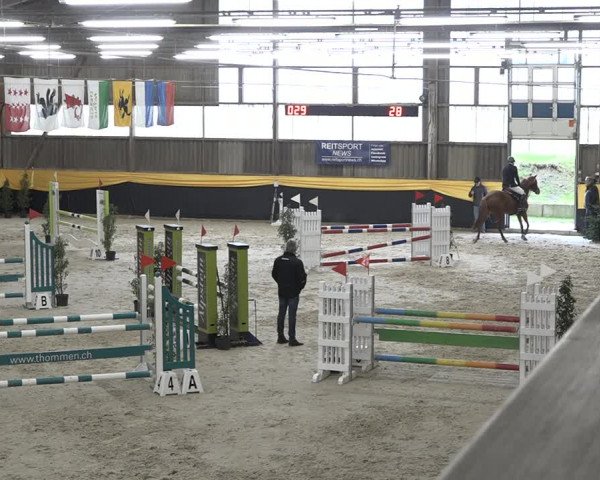 Reitturnier Erlen 2024