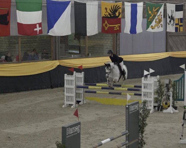Reitturnier Erlen 2024