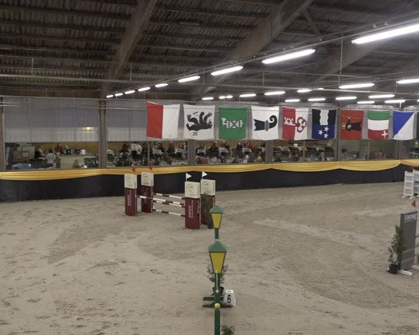Reitturnier Erlen 2024