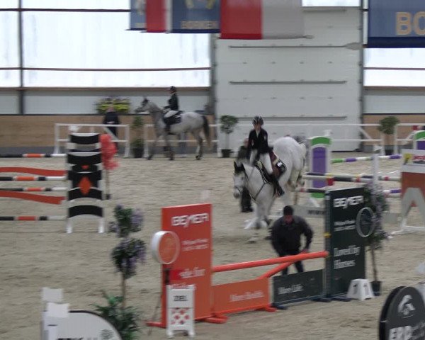 Reitturnier Borken 2024