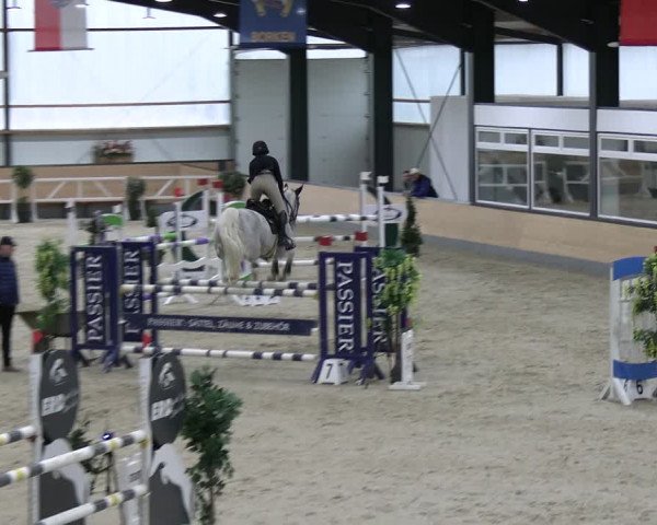 Reitturnier Borken 2024