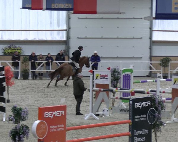 Reitturnier Borken 2024