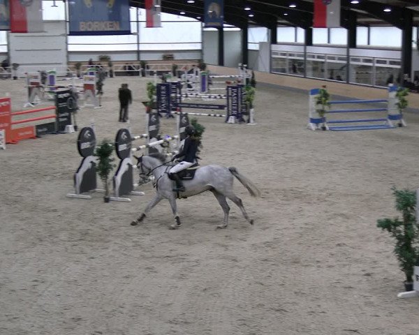 Reitturnier Borken 2024