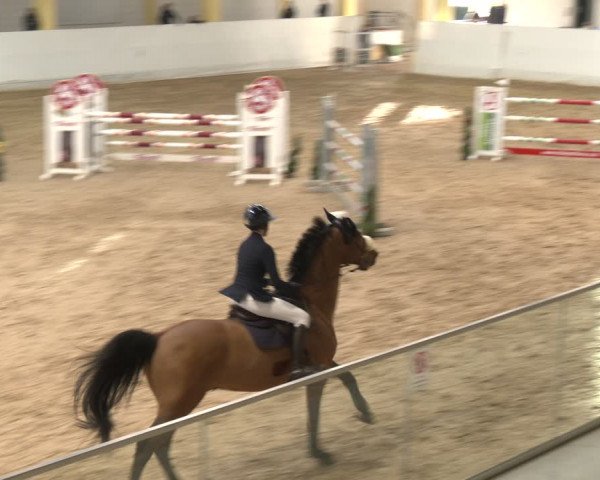 Reitturnier Stadl-Paura 2024