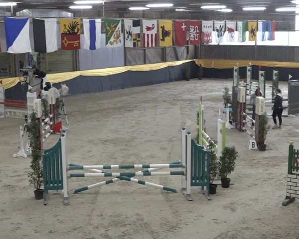 Reitturnier Erlen 2024
