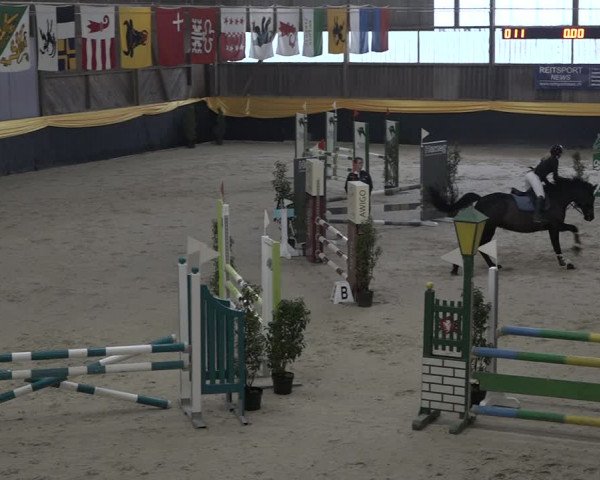 Reitturnier Erlen 2024