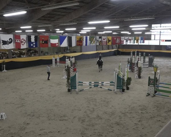 Reitturnier Erlen 2024