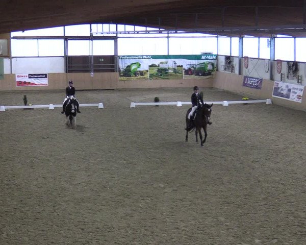 Dressurturnier Borgholzhausen-Westbarthausen 2021