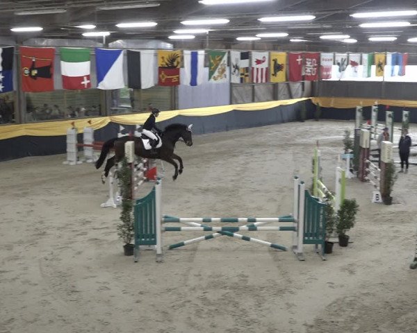 Reitturnier Erlen 2024