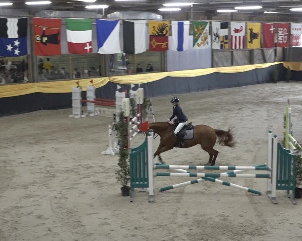 Reitturnier Erlen 2024