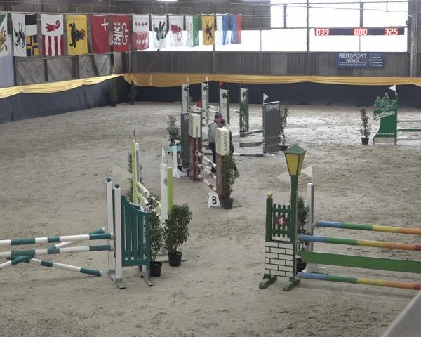 Reitturnier Erlen 2024