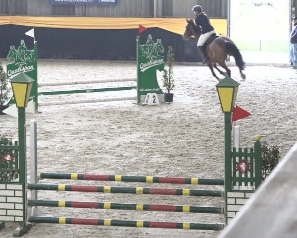 Reitturnier Erlen 2024