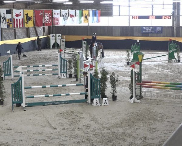 Reitturnier Erlen 2024