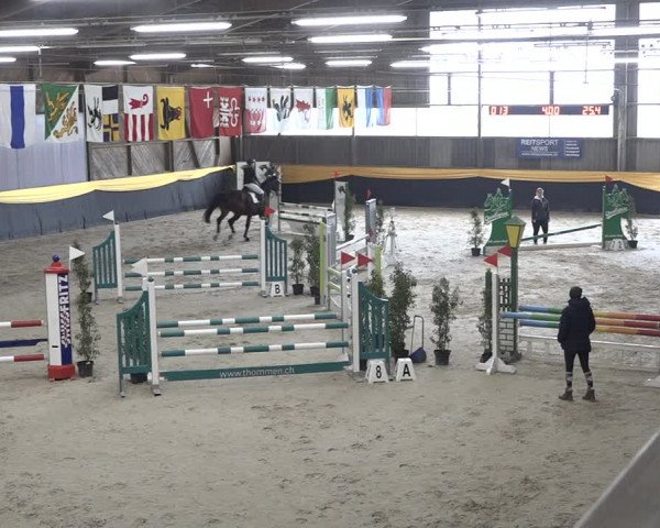 Reitturnier Erlen 2024