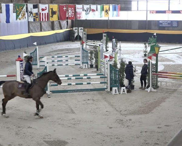 Reitturnier Erlen 2024