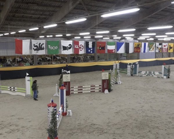 Reitturnier Erlen 2024