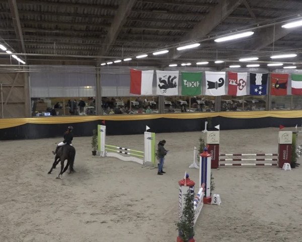 Reitturnier Erlen 2024