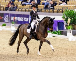 dressage horse DSP Diamante Negro (German Sport Horse, 2016, from DeLorean)
