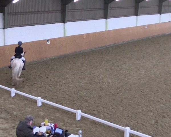 Reitturnier Datteln 2024