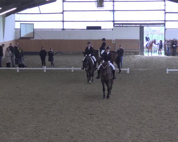 Reitturnier Datteln 2024