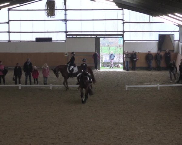 Reitturnier Datteln 2024