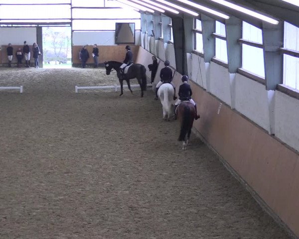 Reitturnier Datteln 2024