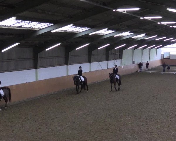 Reitturnier Datteln 2024
