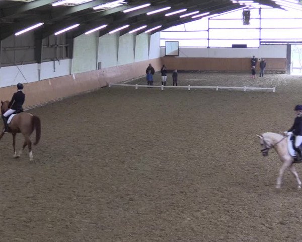 Reitturnier Datteln 2024