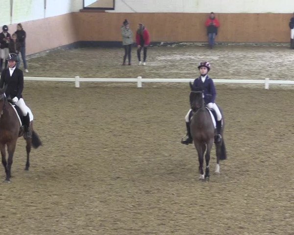 Reitturnier Datteln 2024