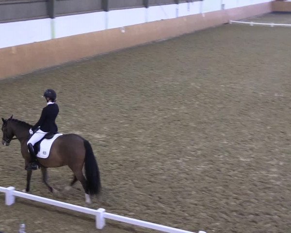 Reitturnier Datteln 2024