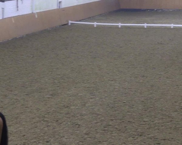 Reitturnier Datteln 2024