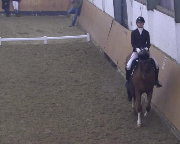 Reitturnier Datteln 2024