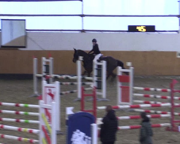 Reitturnier Datteln 2024