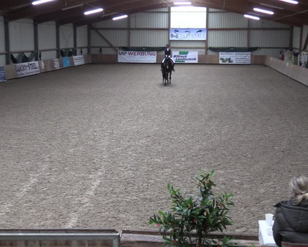 Reitturnier Hesel 2024