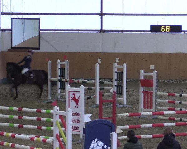Reitturnier Datteln 2024