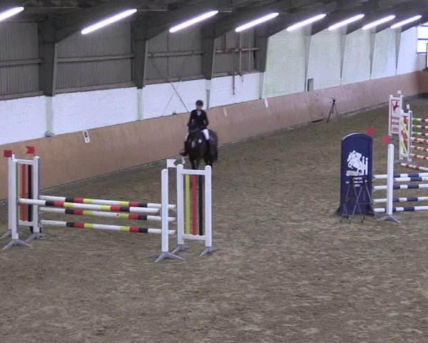 Reitturnier Datteln 2024