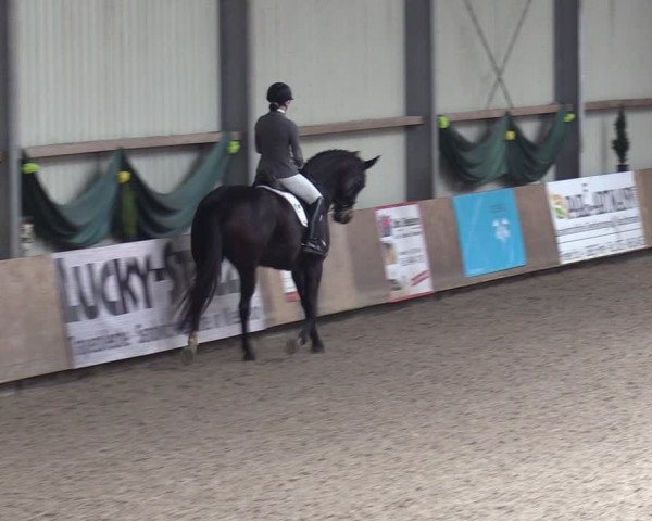 Reitturnier Hesel 2024