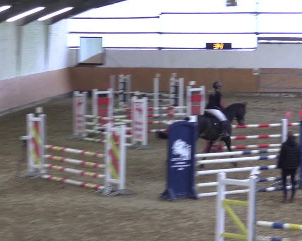 Reitturnier Datteln 2024