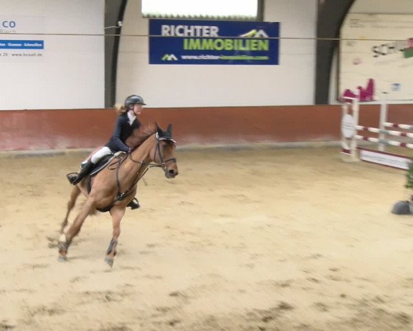 Reitturnier Viernheim 2024