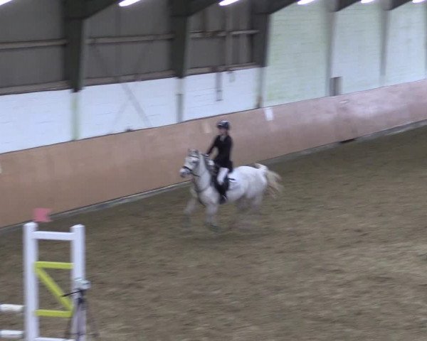Reitturnier Datteln 2024